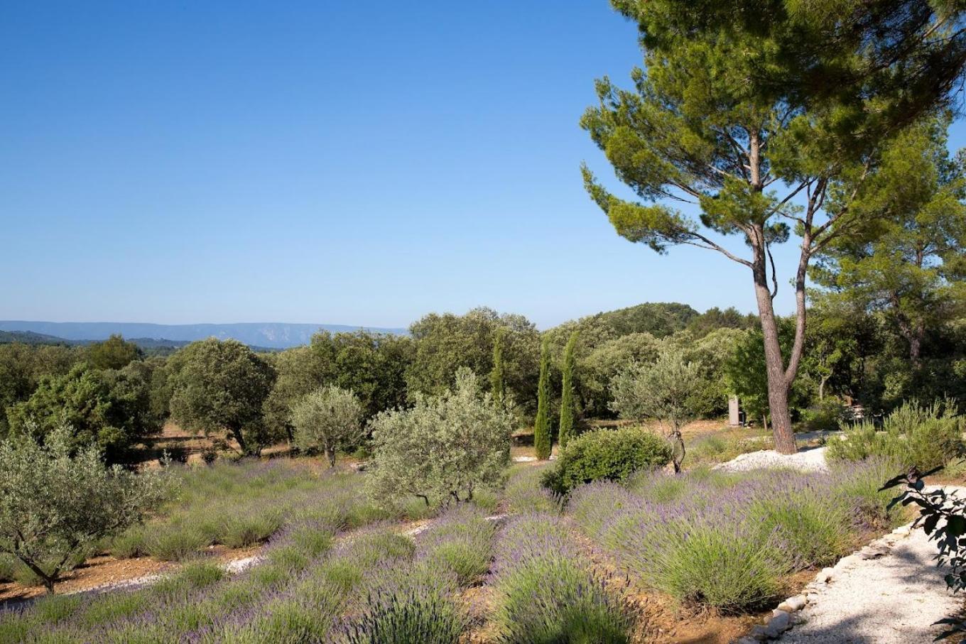 La Cle Des Champs, Boutique Hotel & Spa - Le Mas De Garrigon Roussillon en Isere Dış mekan fotoğraf