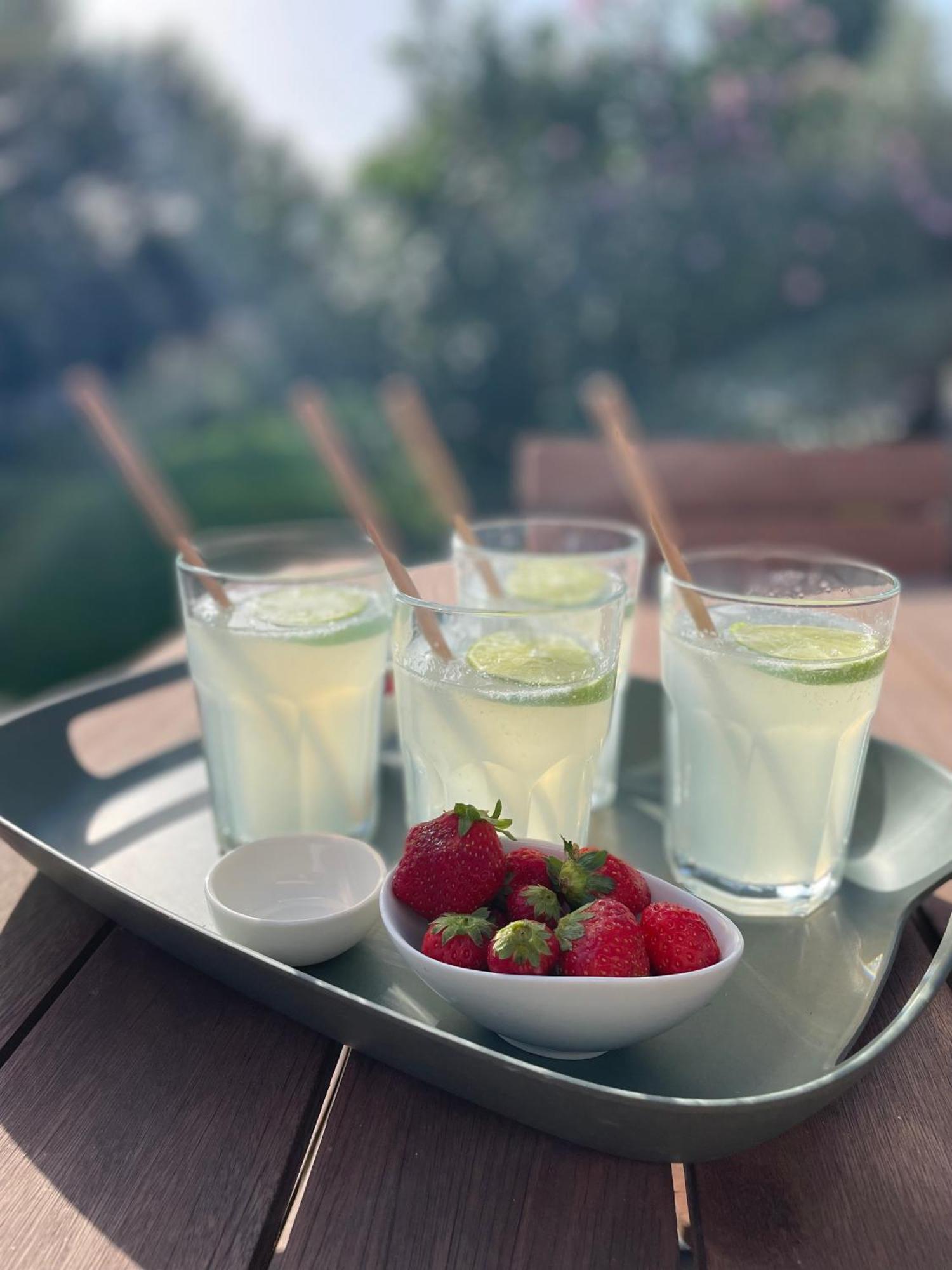 La Cle Des Champs, Boutique Hotel & Spa - Le Mas De Garrigon Roussillon en Isere Dış mekan fotoğraf